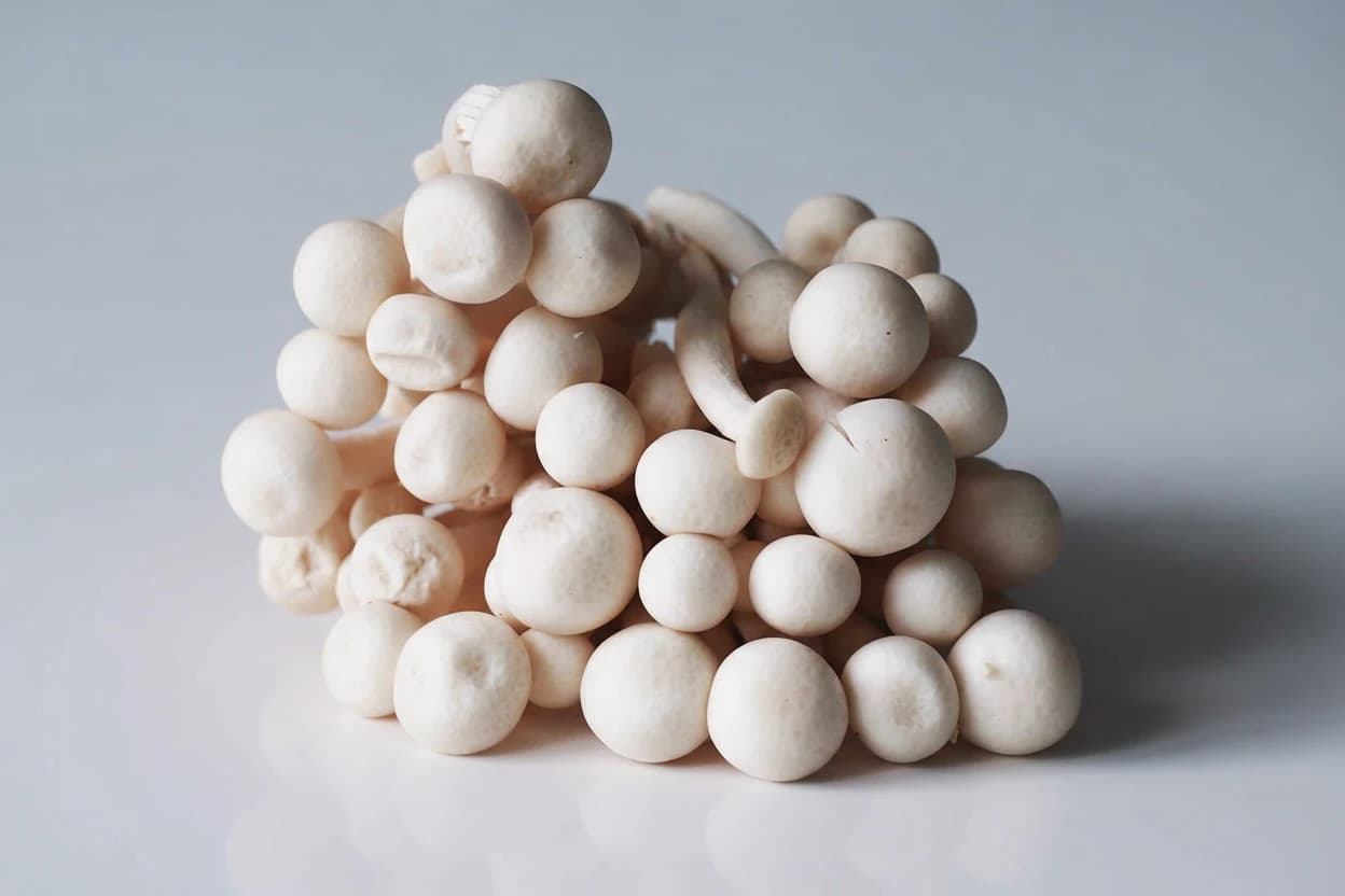 Beech Mushroom prepared for baby-led weaning