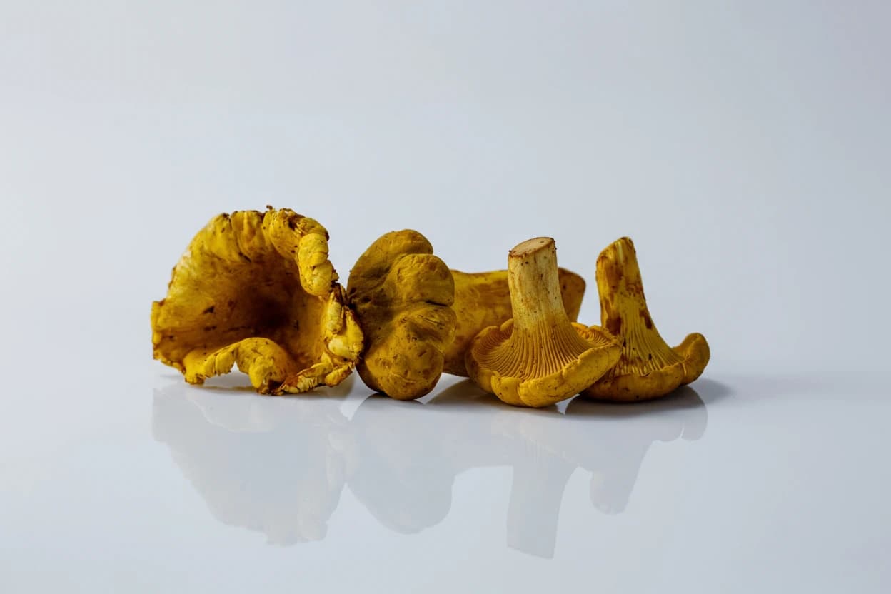 Chanterelle Mushroom prepared for baby-led weaning