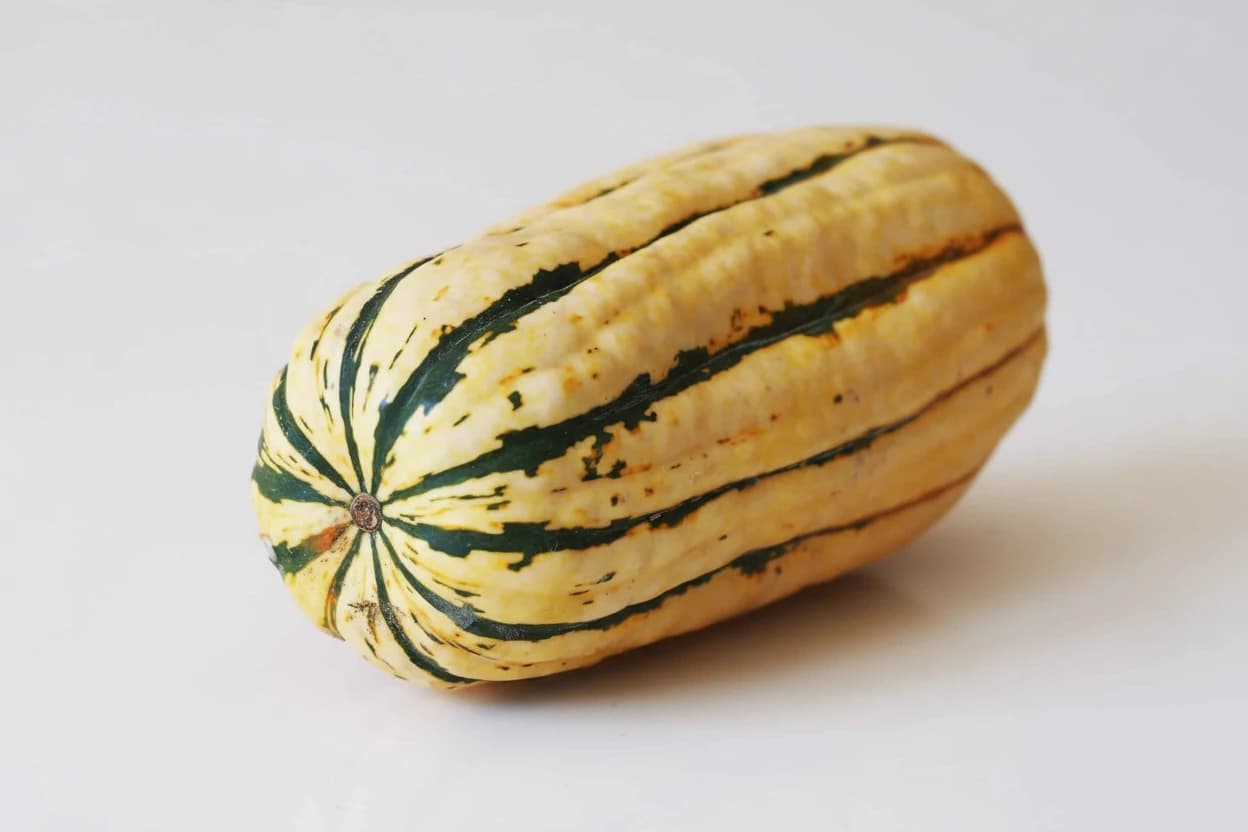 Delicata Squash prepared for baby-led weaning