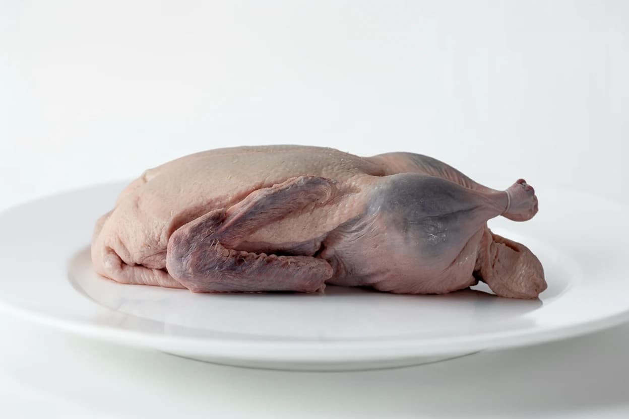 Duck prepared for baby-led weaning