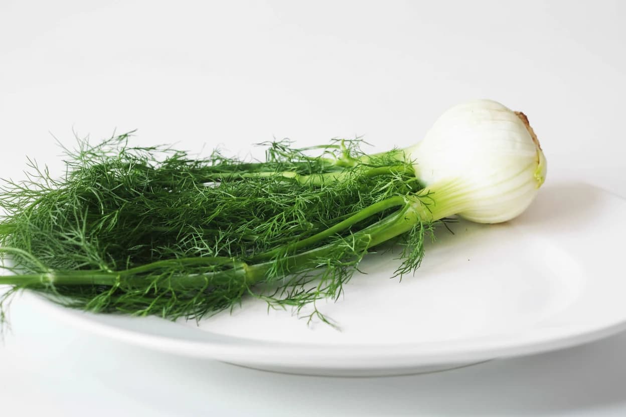 Fennel prepared for baby-led weaning
