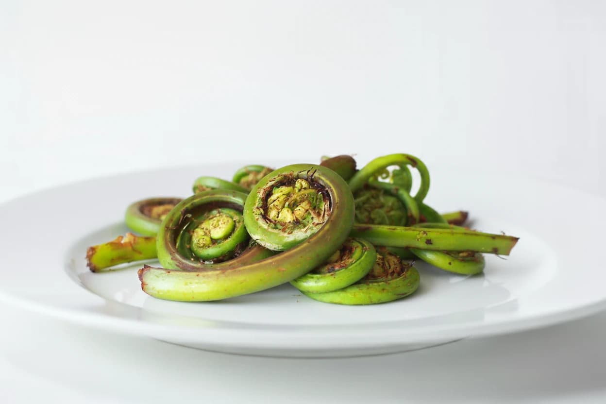 Fiddlehead Fern prepared for baby-led weaning