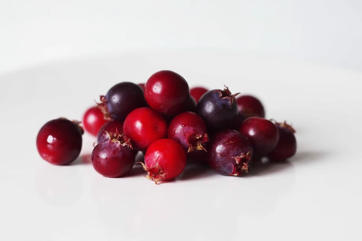 Juneberry prepared for baby-led weaning