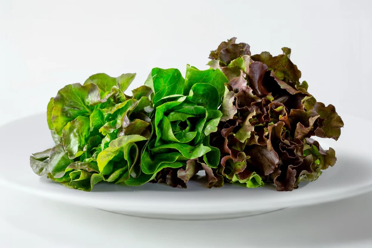 Lettuce prepared for baby-led weaning