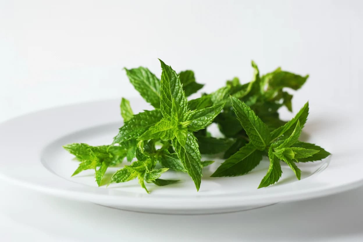 Mint prepared for baby-led weaning