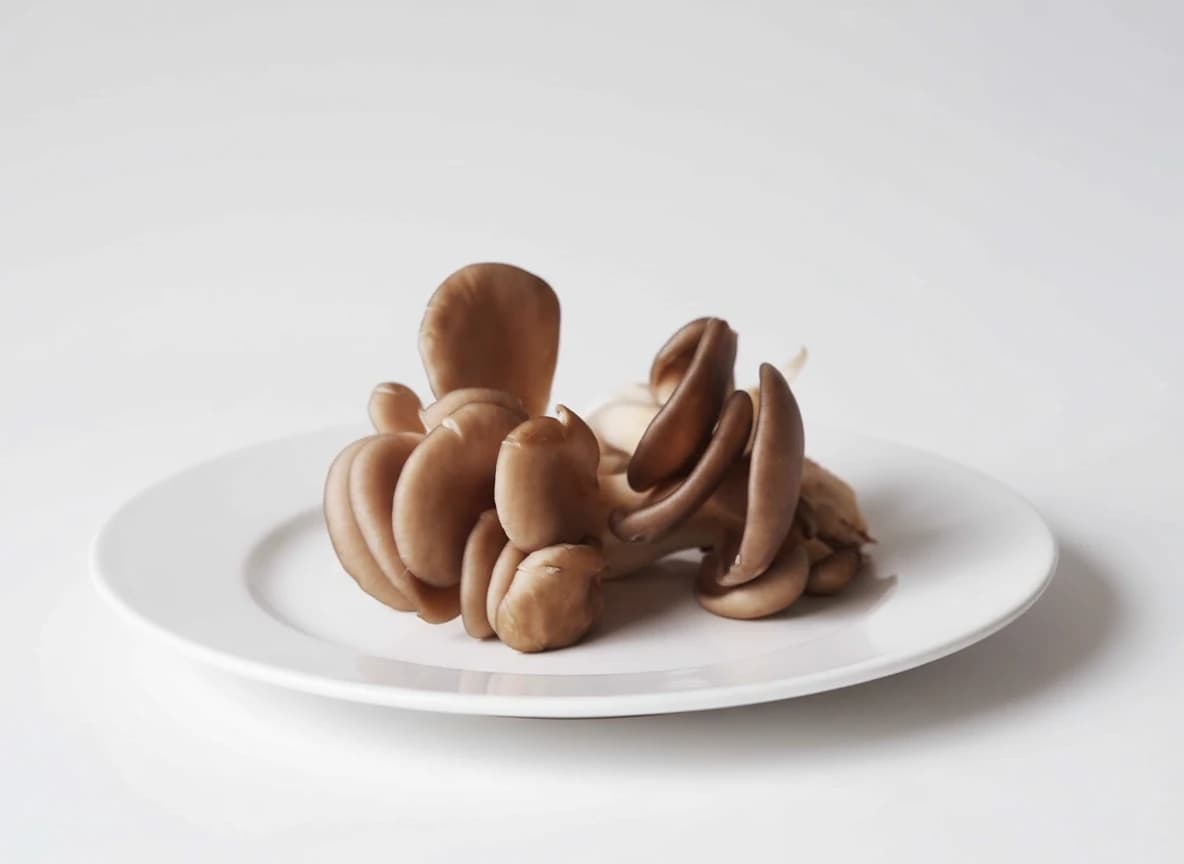 Oyster Mushroom prepared for baby-led weaning