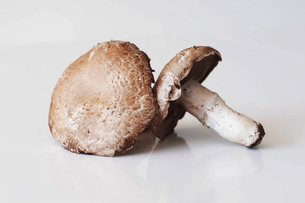 Portobello (Portabella) Mushroom prepared for baby-led weaning
