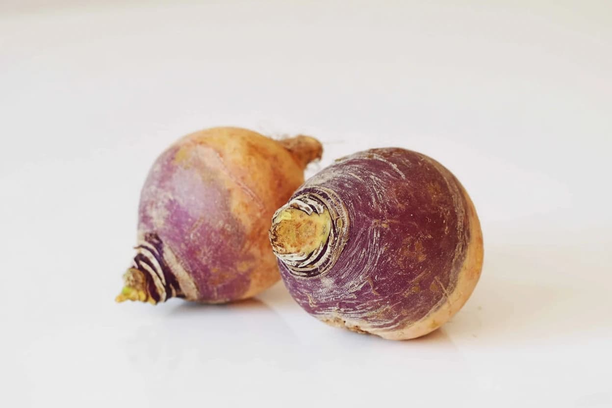 Rutabaga (Swede) prepared for baby-led weaning