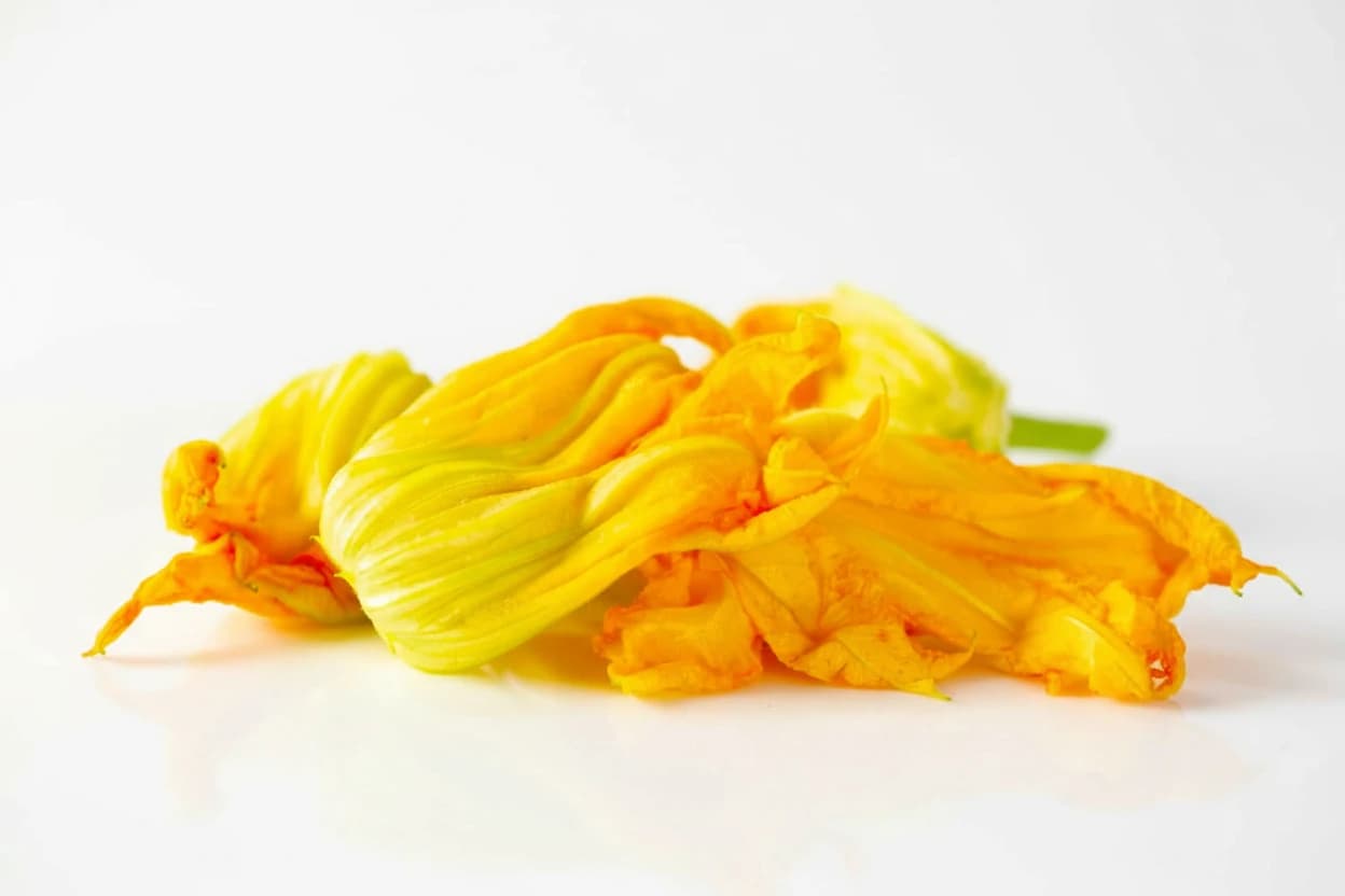 Squash Blossoms prepared for baby-led weaning