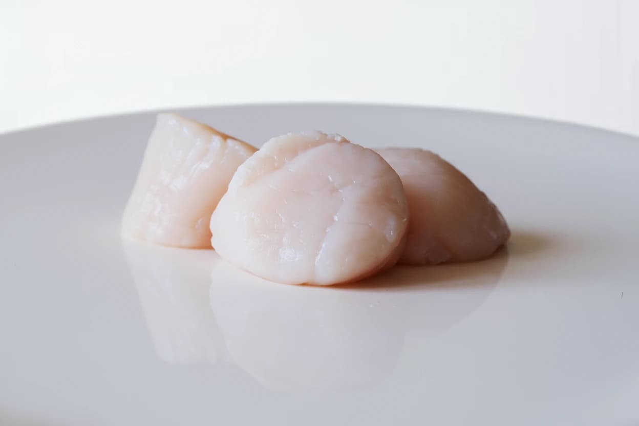 Scallops prepared for baby-led weaning